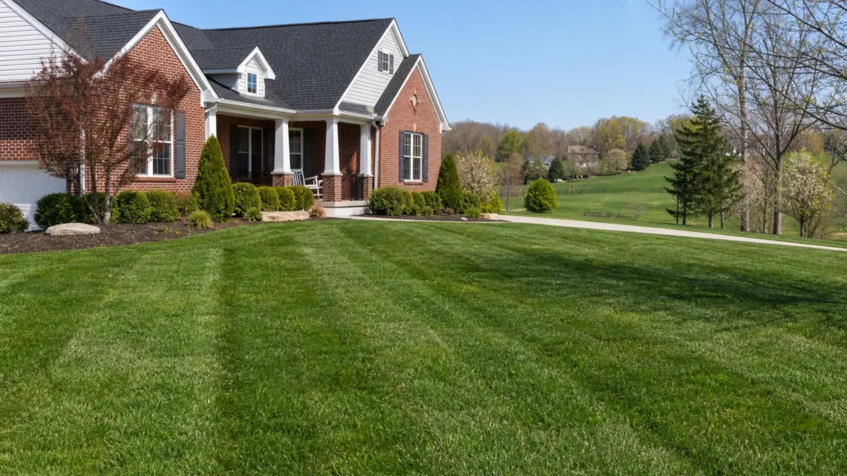 Completed tall fescue sod lawn Richmond Kentucky Madison County established green residential property Tyler